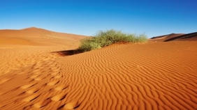 Esoterische Geographie – Die Wüste